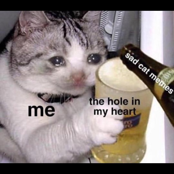 Meet your Posher, Kat - Picture 7 of 7